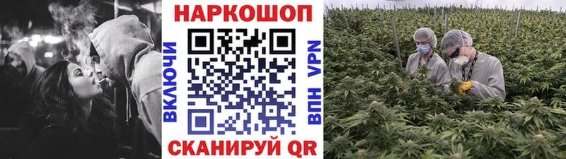 Меф мяу мяу Щёкино