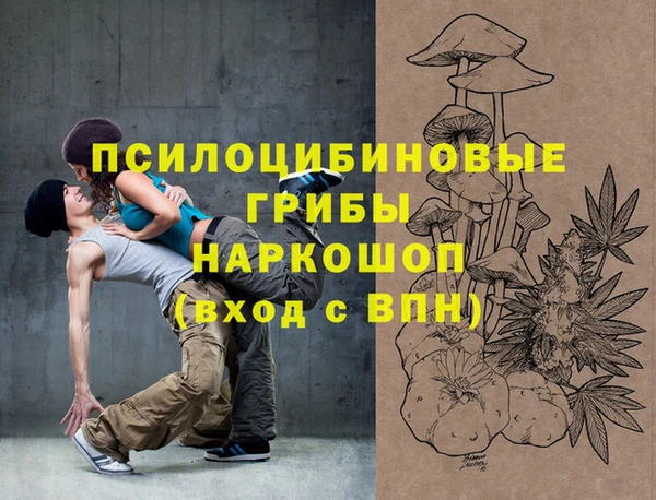 МДМА Няндома