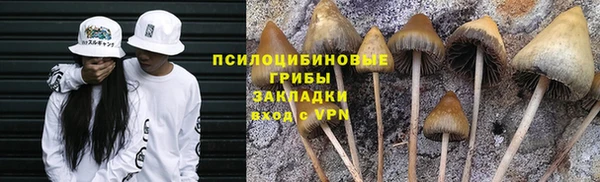 spice Нягань
