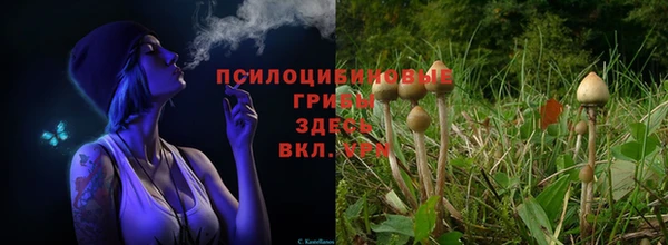МДМА Няндома