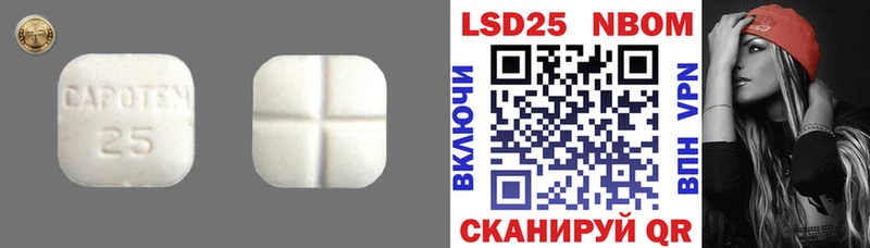 LSD-25 экстази ecstasy  купить  сайты  Щёкино 