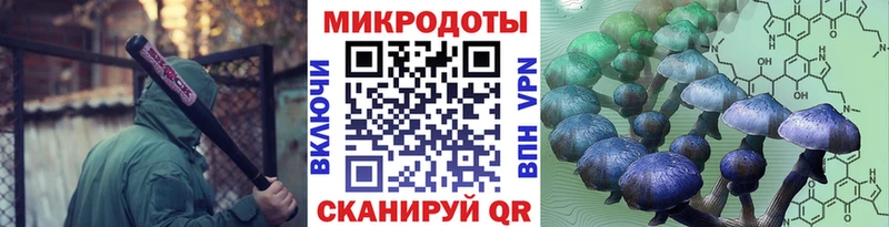 Псилоцибиновые грибы мицелий  Щёкино 